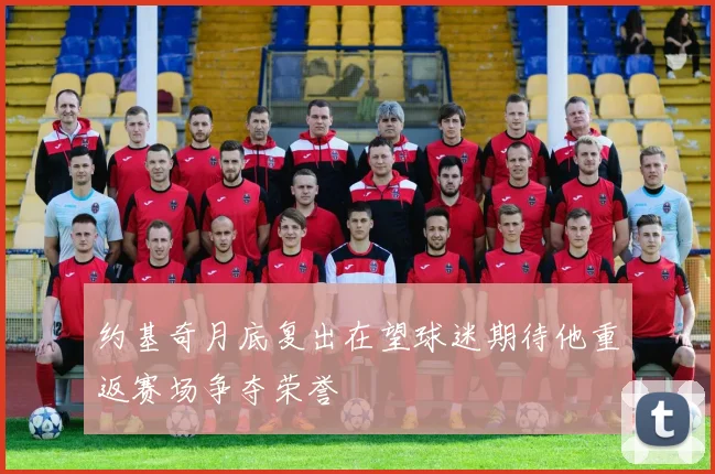 约基奇月底复出在望球迷期待他重返赛场争夺荣誉
